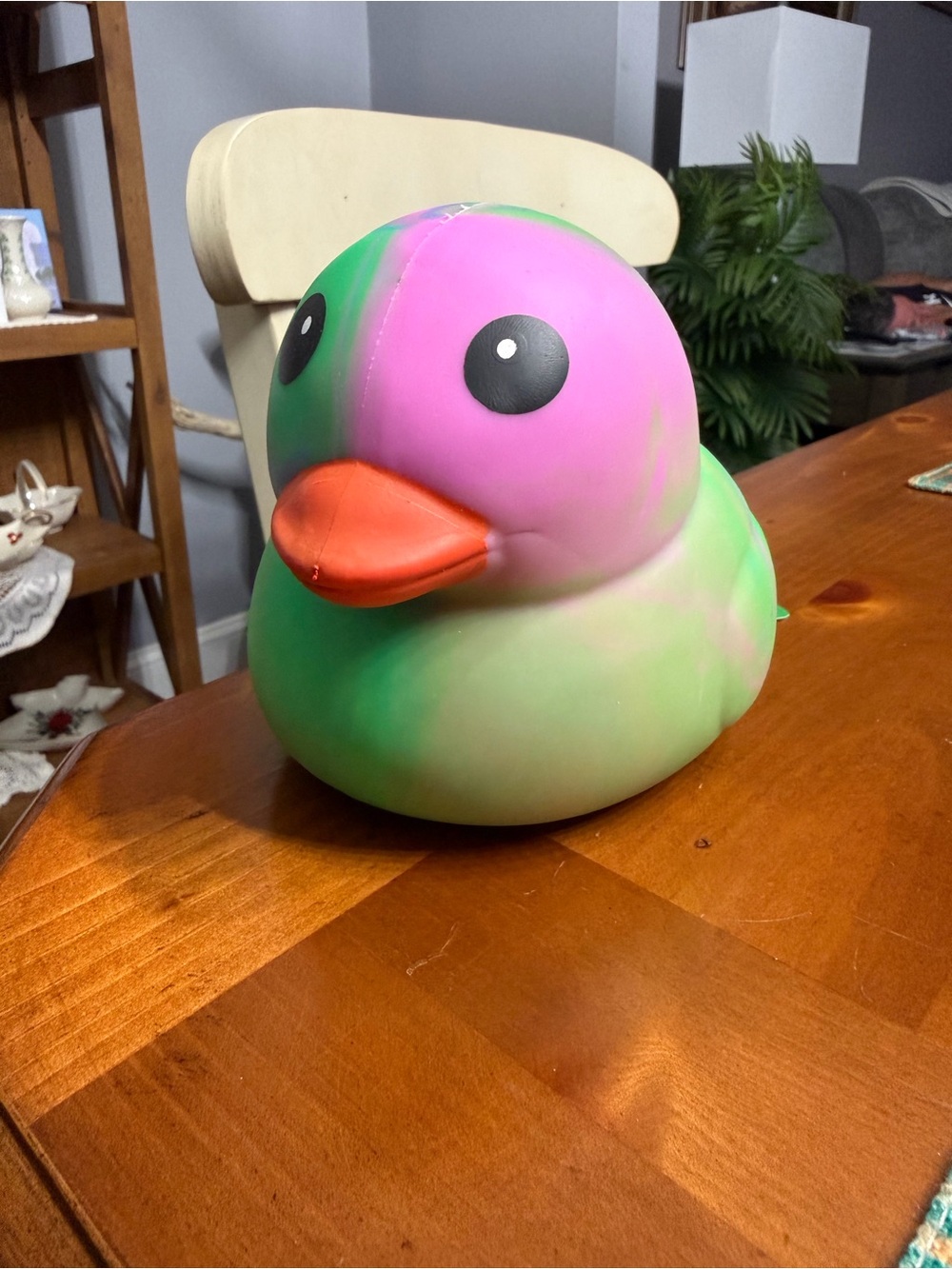 Large Colorful Rubber Duck - Pink, Green, Orange Beak
